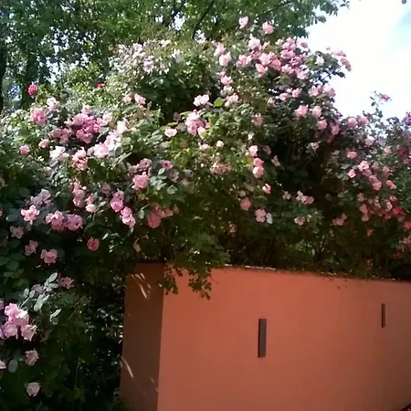 Farm stay I Lei