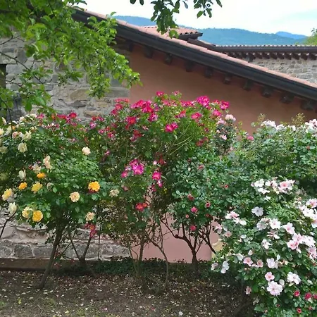 I Lei Farm stay *